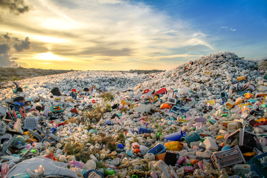 From the Elimination of Disposable Plastics in the United States